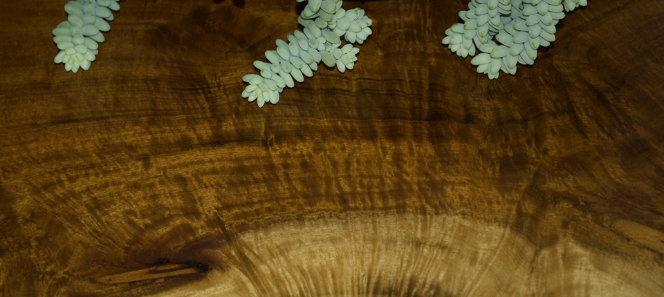 Wood Grain Detail